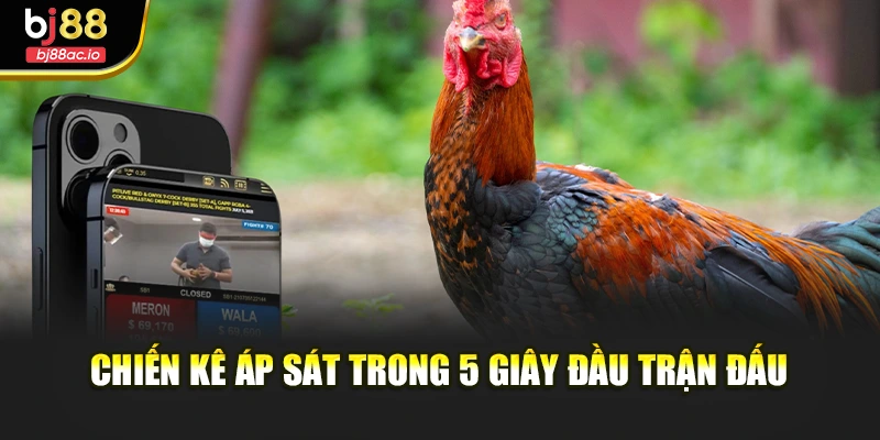 Chiến kê áp sát trong 5 giây đầu trận đấu