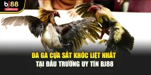 Đá Gà Cựa Sắt Khốc Liệt Nhất Tại Đấu Trường Uy Tín Bj88